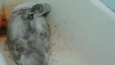 Zakon.kz, фото - Новости Zakon.kz от 19.01.2016 19:39