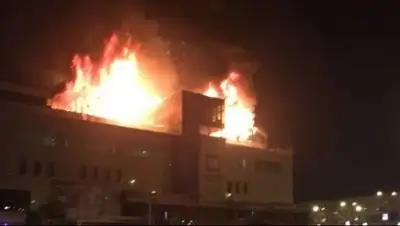 соцсети, фото - Новости Zakon.kz от 16.02.2018 10:44