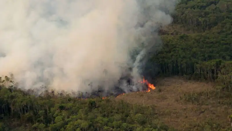 Дым от австралийских пожаров достиг Бразилии