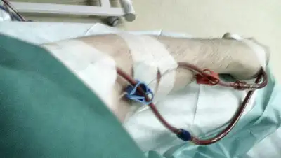 Pikabu, фото - Новости Zakon.kz от 22.02.2020 00:51