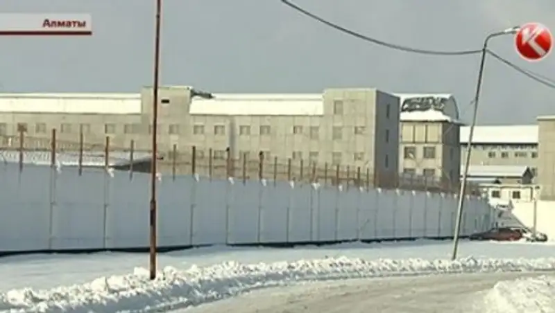 У арестованной женщины-трансгендера появилась группа поддержки