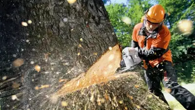 Zakon.kz, фото - Новости Zakon.kz от 01.04.2016 15:49