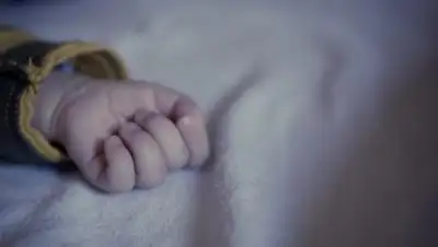 politeka.net, фото - Новости Zakon.kz от 19.10.2018 16:16