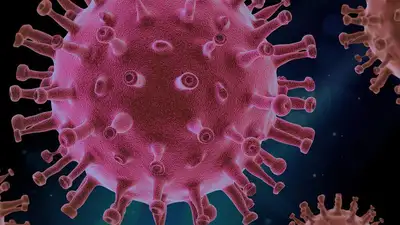 Сколько казахстанцев заболели COVID-19 за сутки, фото - Новости Zakon.kz от 10.02.2023 08:53