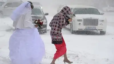 Zakon.kz, фото - Новости Zakon.kz от 26.04.2014 22:10