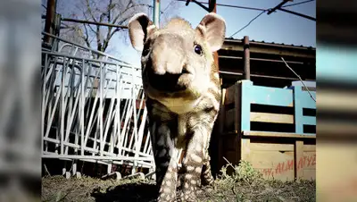 Михаил Сорокоумов, фото - Новости Zakon.kz от 17.03.2019 18:28
