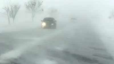 rus.azattyq-ruhy.kz, фото - Новости Zakon.kz от 27.02.2020 12:30