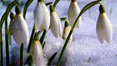 lang-lit.ru, фото - Новости Zakon.kz от 04.03.2020 06:04