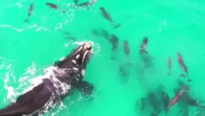 Zakon.kz, фото - Новости Zakon.kz от 13.07.2017 16:30