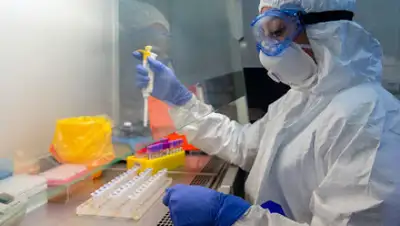 24tv.ua, фото - Новости Zakon.kz от 23.07.2020 13:55