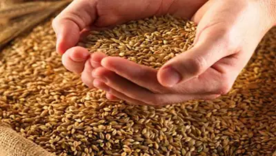 Zakon.kz, фото - Новости Zakon.kz от 11.05.2016 22:40