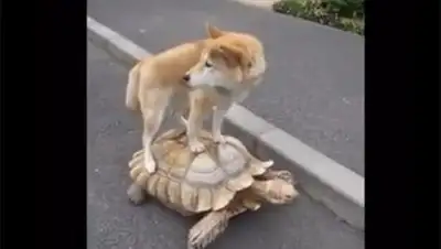 Zakon.kz, фото - Новости Zakon.kz от 05.09.2014 21:07