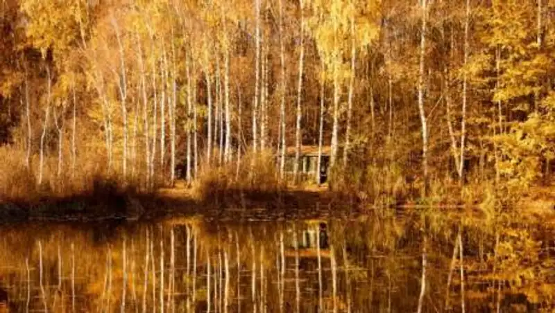 Какая погода ждет казахстанцев на выходных