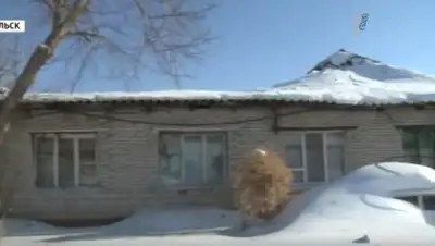 скриншот с видео, фото - Новости Zakon.kz от 08.02.2019 22:23