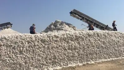 Zakon.kz, фото - Новости Zakon.kz от 20.09.2017 14:56