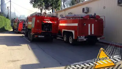 zakon.kz, фото - Новости Zakon.kz от 17.08.2019 00:49