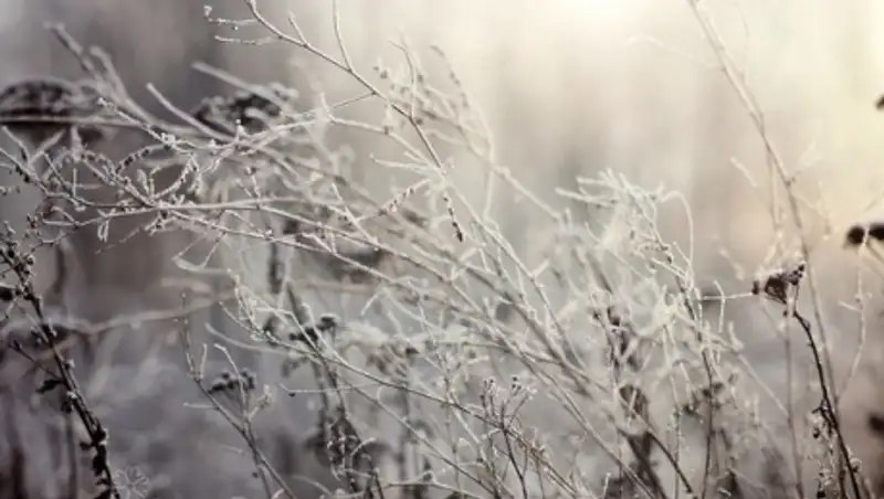 18 ноября в Казахстане ожидаются снег, метель, усиление ветра
