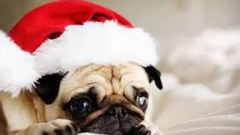 Метели, снегопады и гололёд прогнозируют в предстоящие трое суток казахстанские синоптики 