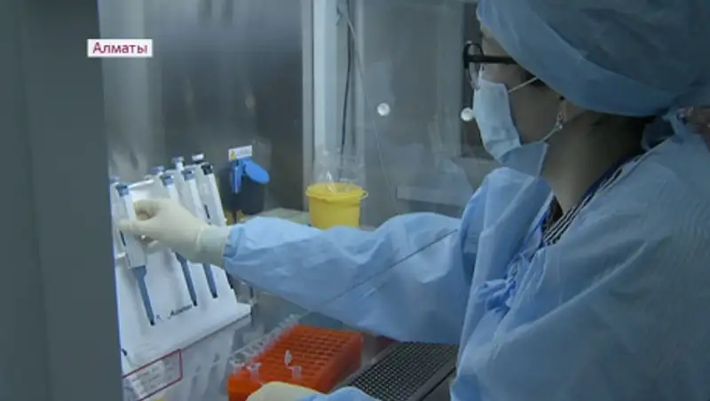 Кишечную палочку нашли в сэндвичах двух производителей Алматы