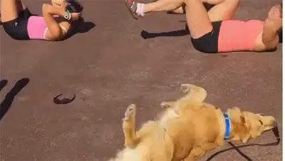 Zakon.kz, фото - Новости Zakon.kz от 22.05.2017 21:14