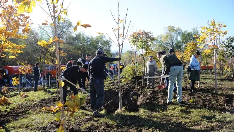 Какие компенсационные посадки предусматривает закон о растительном мире