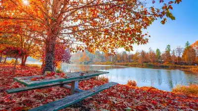 Летняя жара до 34 градусов вернется  в Казахстан, фото - Новости Zakon.kz от 21.09.2022 11:54