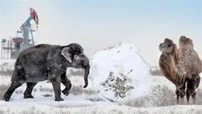 Zakon.kz, фото - Новости Zakon.kz от 08.08.2014 16:21
