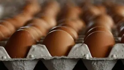 Фото: МИА "Казинформ", фото - Новости Zakon.kz от 22.12.2017 06:50