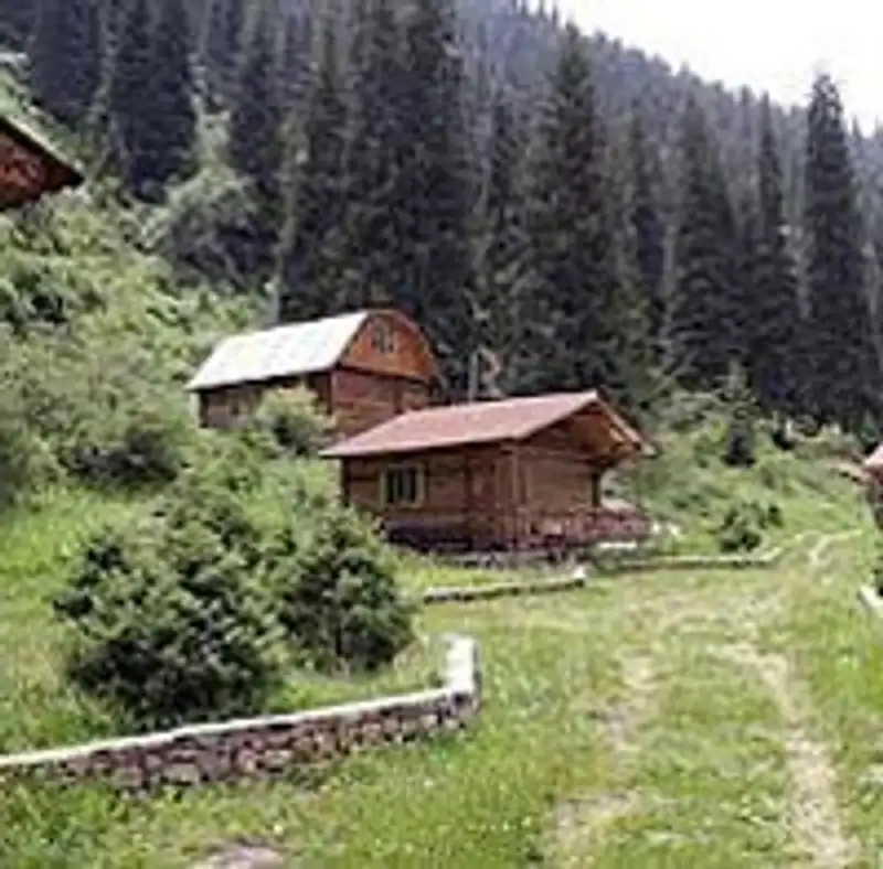 Оперативники на территории лесничества в Алматинской области нашли тела еще троих человек, фото - Новости Zakon.kz от 14.08.2012 21:49