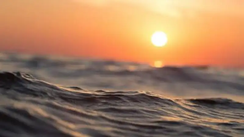 Каспийское море на грани экологической катастрофы