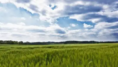 pixabay.com, фото - Новости Zakon.kz от 18.03.2021 15:00