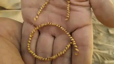 Что хранят курганы: рядом с Туркестаном археологи сделали массу интересных находок, фото - Новости Zakon.kz от 10.07.2023 12:22