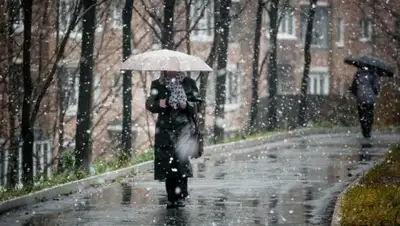 Zakon.kz, фото - Новости Zakon.kz от 02.11.2016 12:00