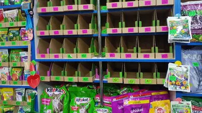 Почему любовь к животным в Казахстане становится дорогим удовольствием, фото - Новости Zakon.kz от 16.02.2023 16:06