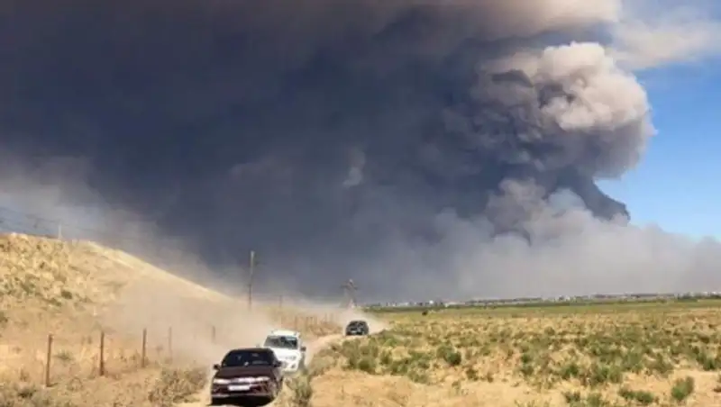"Было очень страшно". История акушерки, принявшей роды во время ЧП в Арыси