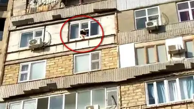 Lada.kz, фото - Новости Zakon.kz от 26.06.2020 00:48