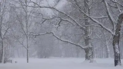 pxhere.com, фото - Новости Zakon.kz от 20.01.2021 09:10