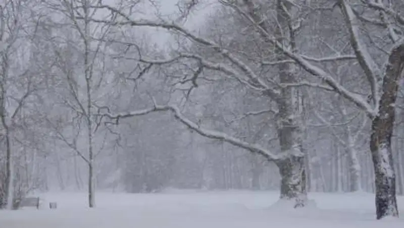 Снежный и дождливый февраль ждет алматинцев