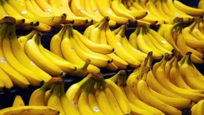 Zakon.kz, фото - Новости Zakon.kz от 19.05.2015 04:46