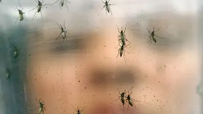 Zakon.kz, фото - Новости Zakon.kz от 04.06.2016 13:10