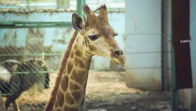 Zakon.kz, фото - Новости Zakon.kz от 13.10.2016 05:40