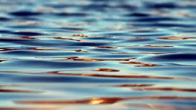 дефицит, вода, сельское хозяйство, Алихан Смаилов , фото - Новости Zakon.kz от 24.05.2022 11:21