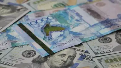 Zakon.kz, фото - Новости Zakon.kz от 17.11.2017 16:12