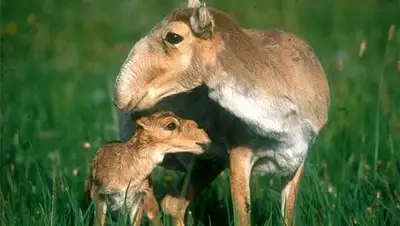 Zakon.kz, фото - Новости Zakon.kz от 27.01.2014 17:43