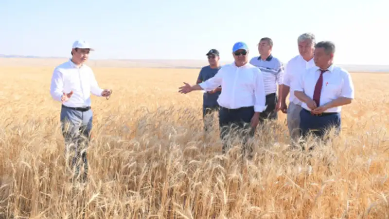 Шукеев о производителях сельхозтехники: Это - мошенники