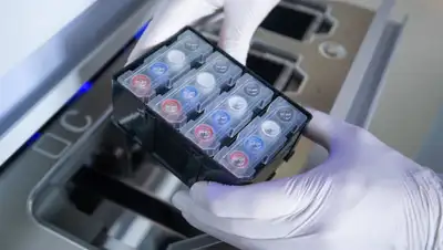 tvzvezda.ru, фото - Новости Zakon.kz от 03.04.2020 16:17