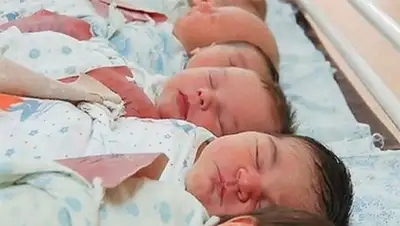 Zakon.kz, фото - Новости Zakon.kz от 05.11.2013 22:35