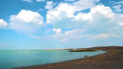 wikimedia.org, фото - Новости Zakon.kz от 07.04.2021 13:39