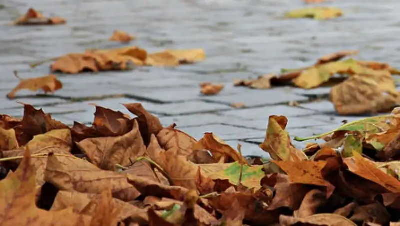 Сильный ветер надвигается на Казахстан