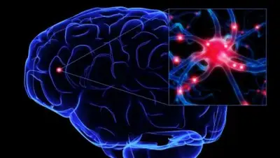 Zakon.kz, фото - Новости Zakon.kz от 16.05.2017 21:06